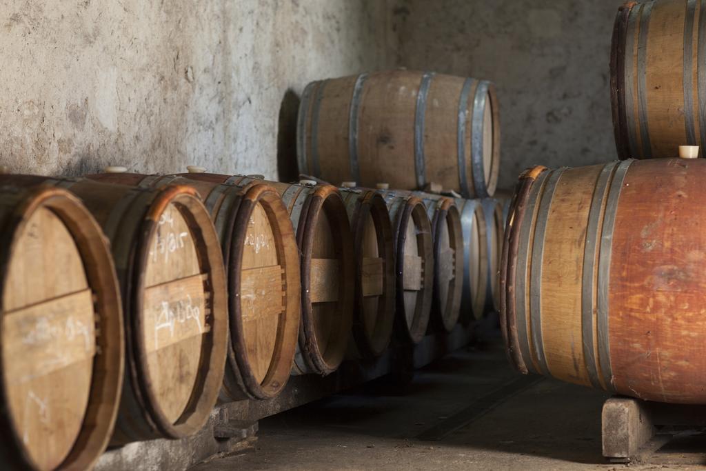 Clos Vieux Rochers Vineyard Puisseguin Екстериор снимка