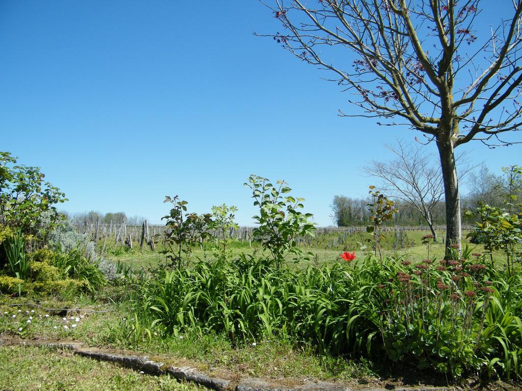 Clos Vieux Rochers Vineyard Puisseguin Екстериор снимка