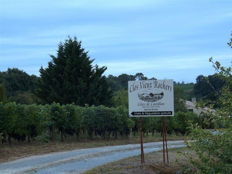 Clos Vieux Rochers Vineyard Puisseguin Екстериор снимка