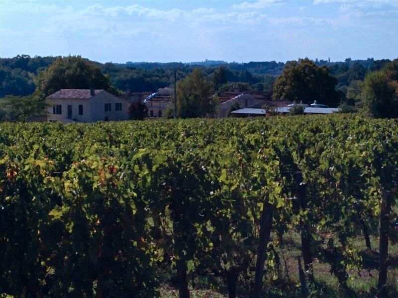 Clos Vieux Rochers Vineyard Puisseguin Екстериор снимка