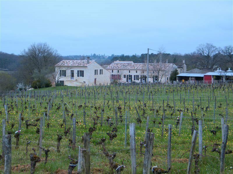 Clos Vieux Rochers Vineyard Puisseguin Екстериор снимка